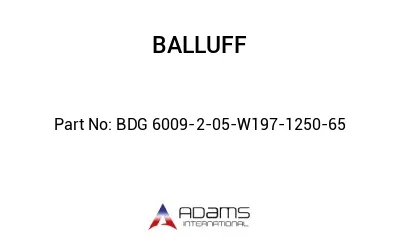 BDG 6009-2-05-W197-1250-65									