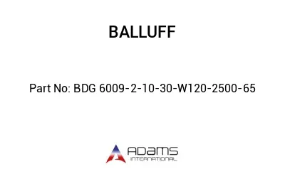 BDG 6009-2-10-30-W120-2500-65									