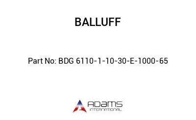 BDG 6110-1-10-30-E-1000-65									