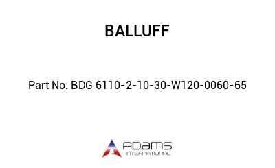 BDG 6110-2-10-30-W120-0060-65									