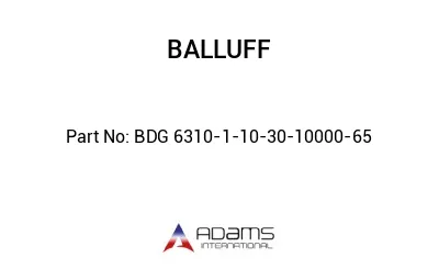 BDG 6310-1-10-30-10000-65									