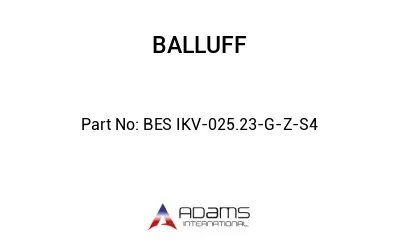 BES IKV-025.23-G-Z-S4									