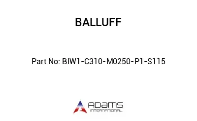 BIW1-C310-M0250-P1-S115									