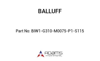 BIW1-G310-M0075-P1-S115									