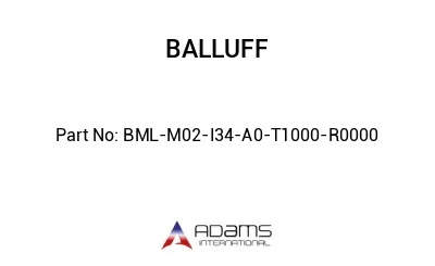 BML-M02-I34-A0-T1000-R0000									