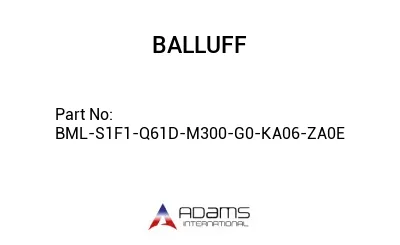 BML-S1F1-Q61D-M300-G0-KA06-ZA0E									