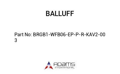 BRGB1-WFB06-EP-P-R-KAV2-00	3								