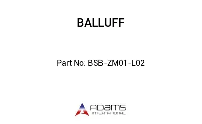 BSB-ZM01-L02									