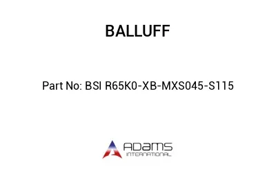 BSI R65K0-XB-MXS045-S115									