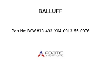 BSW 813-493-X64-09L3-55-0976									