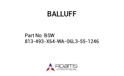 BSW 813-493-X64-WA-06L3-55-1246									