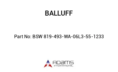 BSW 819-493-WA-06L3-55-1233									